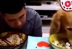 赛文主人吃瓜视频,揭秘娱乐圈幕后故事