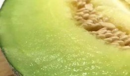 佛山kk吃瓜,揭秘网络热点背后的真相