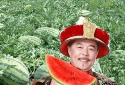 郎的诱惑路边吃瓜,街头瓜摊下的激情邂逅