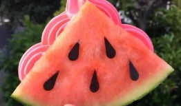 网红宿舍吃瓜,宿舍生活背后的趣味与争议