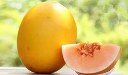 吃瓜还嫌瓜不甜下一句