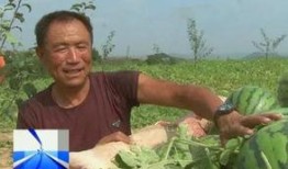 求助吃瓜后续,揭秘事件真相，还原事件全貌