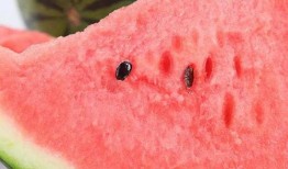 泗水老师吃瓜,一场校园风波背后的真相