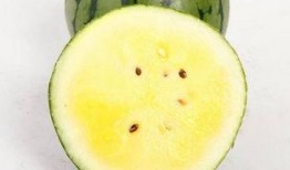 小白瓜孕妇可以吃吗,小白瓜的营养价值与适宜食用建议