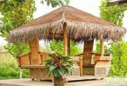 广西亭子的吃瓜男女,吃瓜男女的欢乐时光