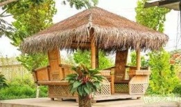 广西亭子的吃瓜男女,吃瓜男女的欢乐时光