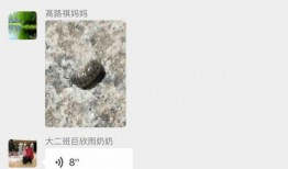 吃瓜的西瓜虫,揭秘夏日虫虫乐园