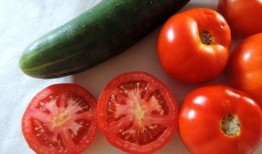 小瓜的吃瓜日常在线观看,揭秘娱乐圈幕后风云