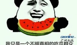 吃瓜群众梗姐姐,吃瓜群众的灵魂伴侣