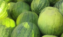 最近兰州高校吃瓜事件,校园舆论风波背后的真相与反思