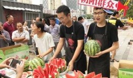 北京朝阳吃瓜群