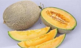 哈密瓜孩子吃太多,孩子过量食用背后的健康考量