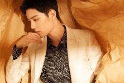 吃瓜大会肖战,肖战事件全解析