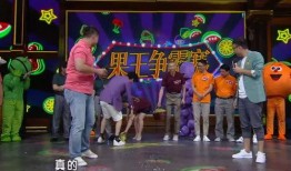 吃瓜综艺大赏,盘点年度热门综艺，揭秘明星幕后故事