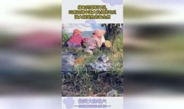 缅甸云南大妈吃瓜