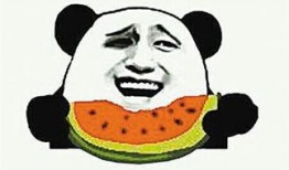 吃瓜吃土都是什么意思,揭秘网络流行语的深层含义