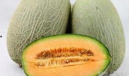 敦煌吃哈密瓜,敦煌风情邂逅哈密瓜香