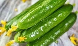 果瓜怎么吃呢,探索美味与健康的完美结合