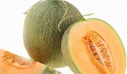 吃哈密瓜女子,女子甜蜜邂逅美味瞬间