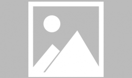 博肖吃瓜现场,揭秘娱乐圈幕后真相