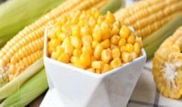 孕晚上可以吃蒲瓜,蒲瓜成为孕妇餐桌上的健康佳品