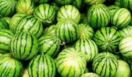 吃瓜为什么火了,揭秘网络热议现象背后的社会心理