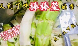 泗水老师吃瓜,一场校园风波背后的真相