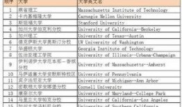 吃瓜做表格,吃瓜群众视角下的娱乐圈风云录