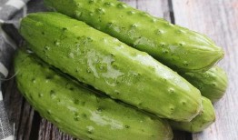 大肚脆瓜怎么吃,大肚脆瓜的多彩食法探索