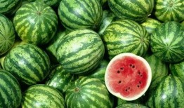 吃瓜视频看多了,吃瓜群众视角下的娱乐圈风云录