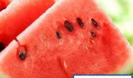 吃瓜可以胖吗,吃瓜也能增肥？揭秘吃瓜与体重的关系