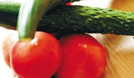 吃西红柿的瓜,探寻吃西红柿的瓜的奇妙之旅