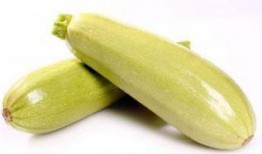 孕妇是否可吃角瓜,角瓜食用安全解析