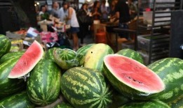 吃瓜有什么说法,揭秘网络热议背后的真相与趣味