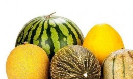 吃瓜咸有什么好处,揭秘日常饮食中的健康益处