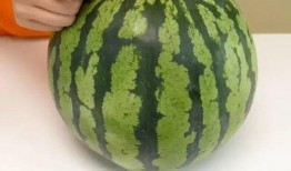 怎么吃瓜好,解锁夏日消暑新姿势