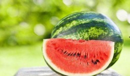 怎么吃瓜好,解锁夏日消暑新姿势