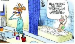 吃瓜推销,揭秘网红吃瓜神器，轻松带货新潮流