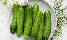 越吃越有的瓜,揭秘瓜类美食的神奇魅力