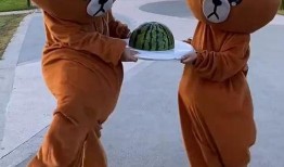 吃瓜小熊壁纸,萌态可掬，瓜界新宠