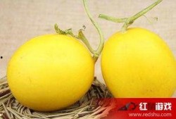 吃瓜之后吃的嗓子不舒服,揭秘夏日消暑饮食注意事项