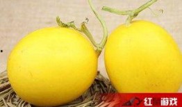 吃瓜之后吃的嗓子不舒服,揭秘夏日消暑饮食注意事项