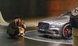 女销售宾利吃瓜,揭秘豪车圈层生活点滴