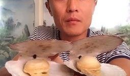 平板锁帅哥吃瓜,揭秘平板锁背后的故事