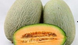 地主吃哈密瓜,一段传奇的甜蜜邂逅