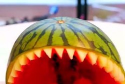 啊钟吃瓜,揭秘娱乐圈那些不为人知的幕后故事