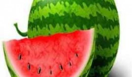 吃瓜可以胖吗,吃瓜也能增肥？揭秘吃瓜与体重的关系