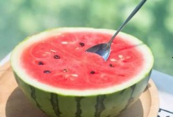 小度度吃瓜,揭秘娱乐圈那些不为人知的幕后故事