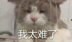 内娱吃瓜巨星,揭秘娱乐圈背后的风云变幻