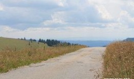 梦到吃不好的瓜,揭秘不安梦境背后的寓意